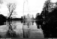 Forde Abbey and Gardens 1064412 Image 7